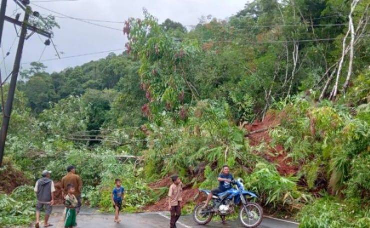 Jaringan Listrik di Madina dan Tapsel Padam Akibat Longsor