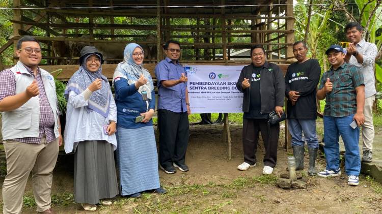 Program Sentra Breeding Domba YBM BRILiaN dan DDW Siap Lahirkan Peternak Baru