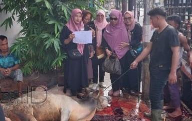 Kepala SMAN 6 Medan Apresiasi Penyembelihan Hewan Qurban Alumni