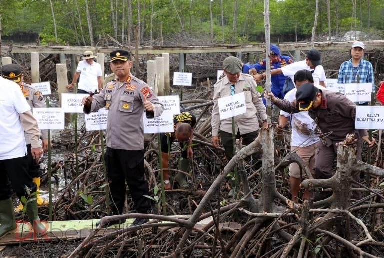 Pemprov dan Polda Sumut Tanam 10 Ribu Bibit Mangrove di Pesisir Langkat