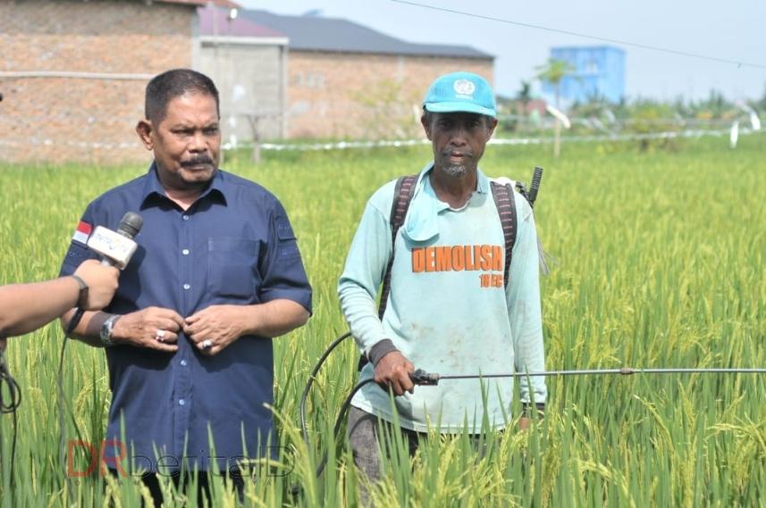Rahudman Harahap Ajak Petani Pilih Pasangan AMIN