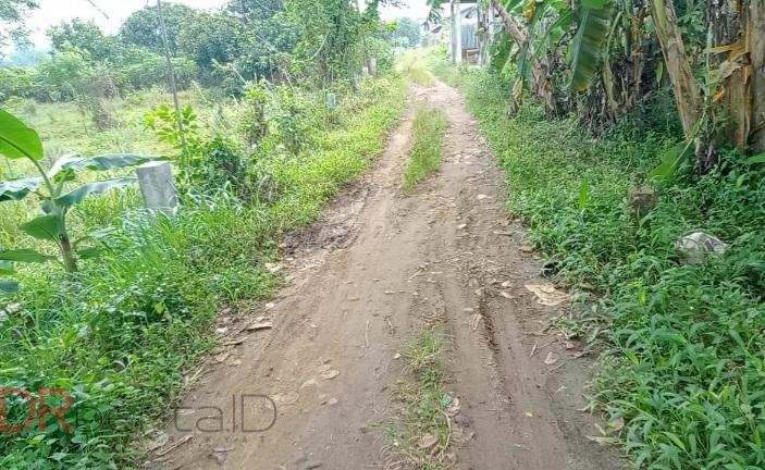 Warga Ngeluh Akses Jalan ke Gereja Memprihatinkan, Camat Mohon Maaf