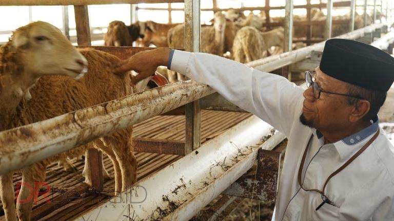 Kunjungi DD Farm Sumut, Ketua Baznas Sumut Apresiasi Program Sentra Ternak DDW
