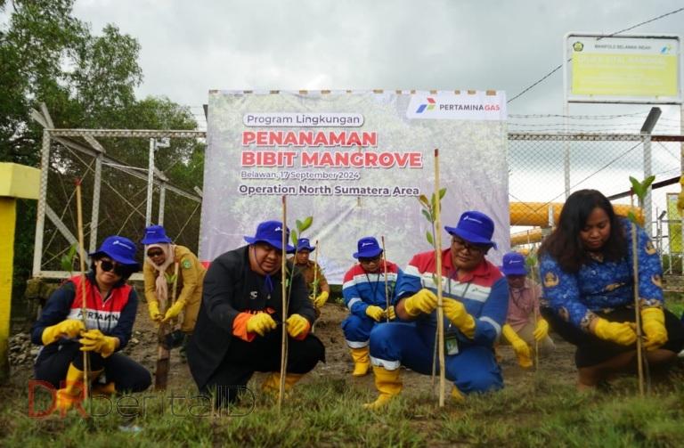 Pertagas Lindungi Pesisir Belawan Dengan Tanaman 1.500 Pohon Mangrove