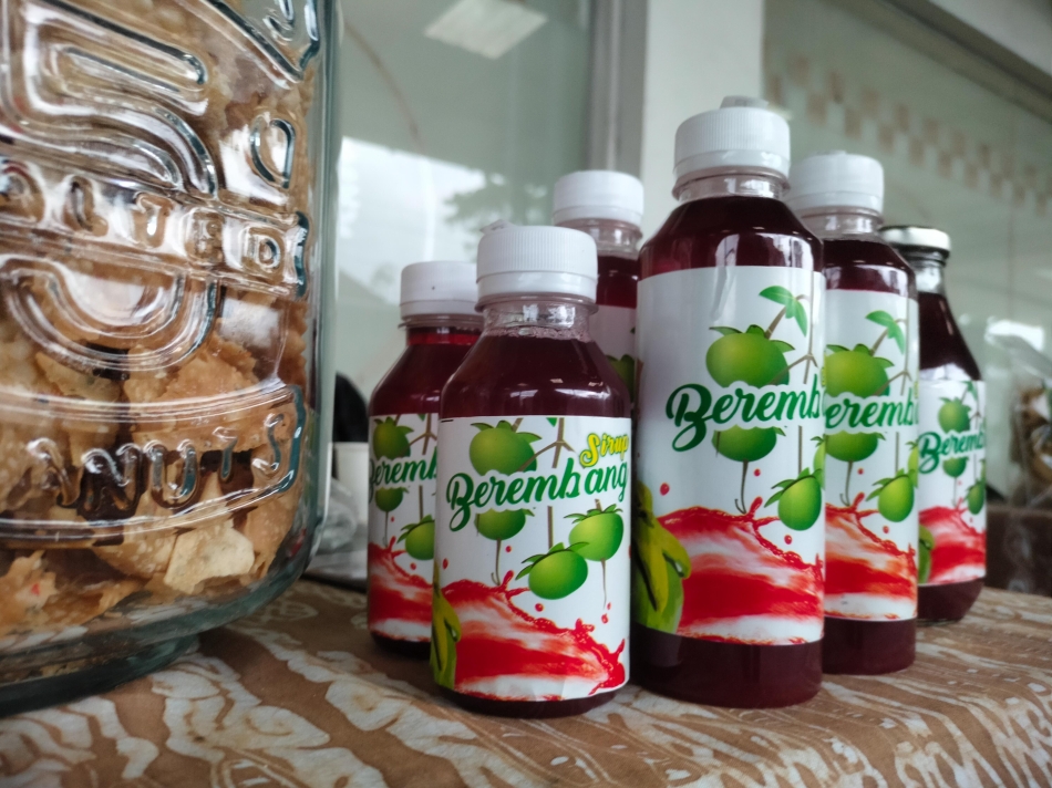 Mangrove Fest, Yayasan Gajah Sumatera Tunjukkan Hasil Binaan 9 Desa di Langkat Selama 20 Tahun