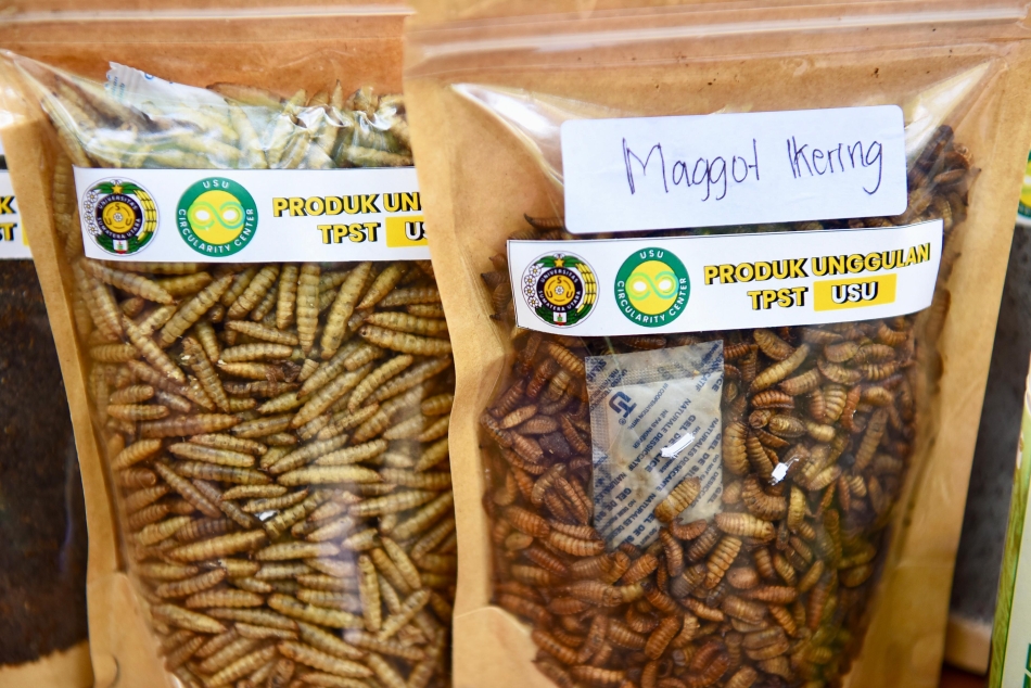 Mengolah Sampah, Bangun Gerakan Zero Waste dari Kampus