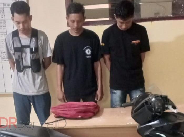 Kawanan Maling di PT BIS Kawasan Sei Mangkei Diciduk Polisi dari Laporan WNA Asal Mongol